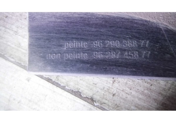 Накладка ляди, кришки багажника Peugeot 206, 9629038877, 9628745877